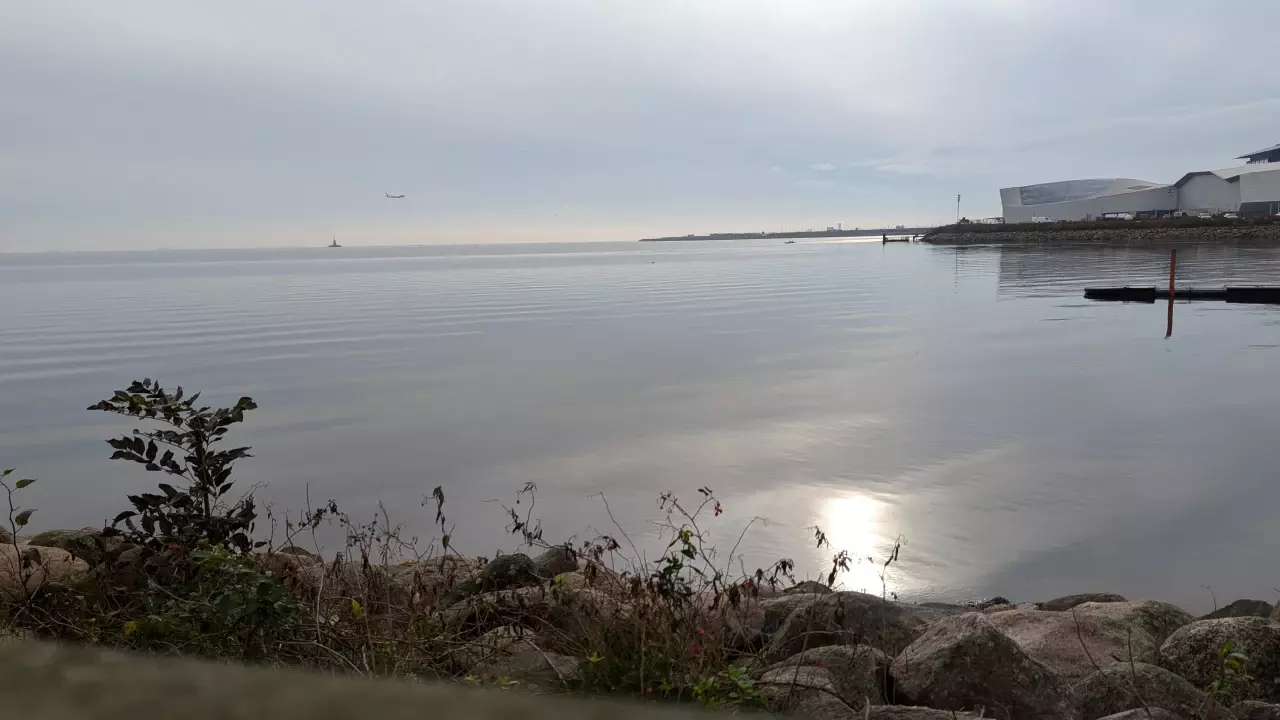 Cover photo of fritz