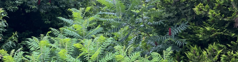 Cover photo of byebyebabyyy