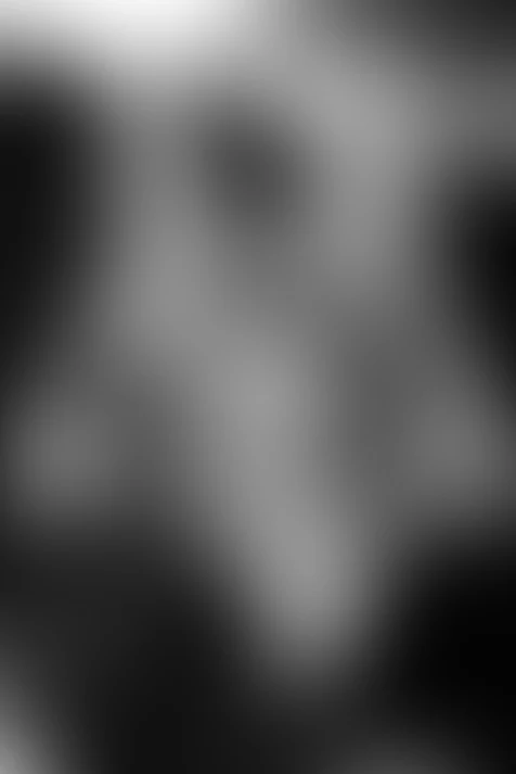Cover photo of blackfoxxo