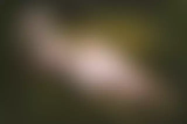 Cover photo of fennix_dream