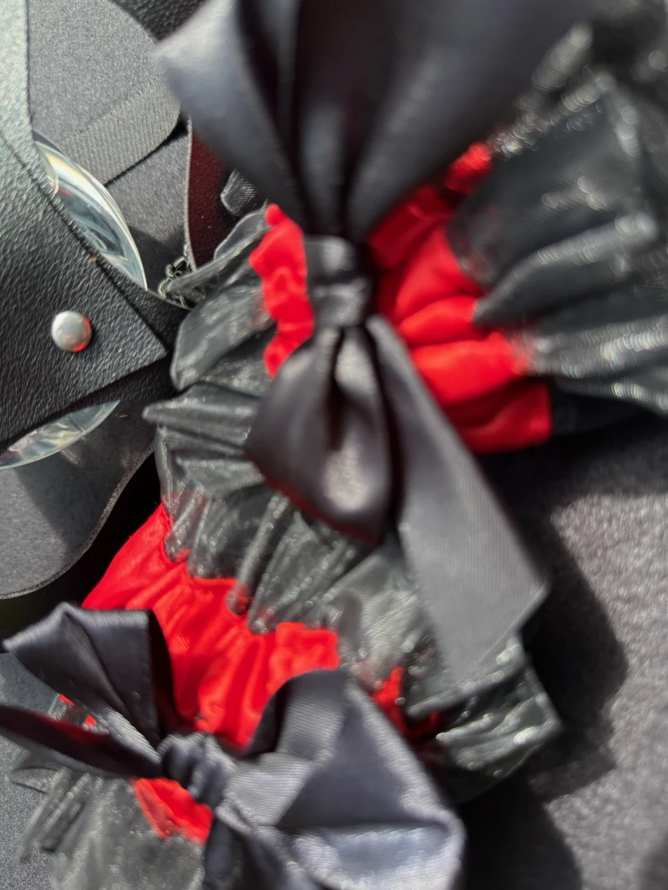 Cover photo of franyalux