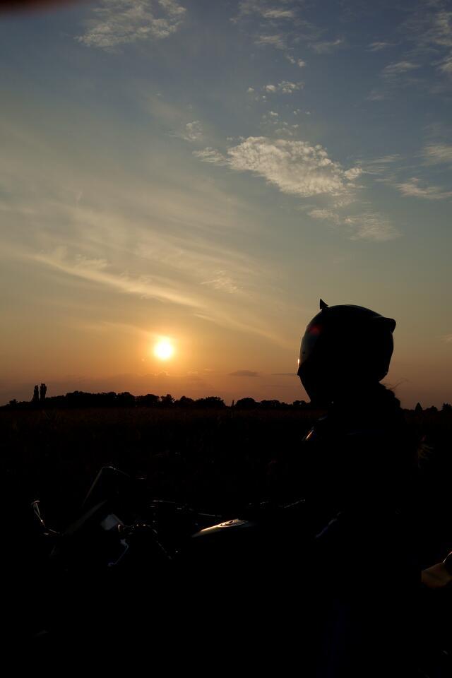 Cover photo of jamiemerc