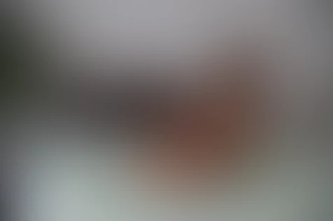 Cover photo of klamsine