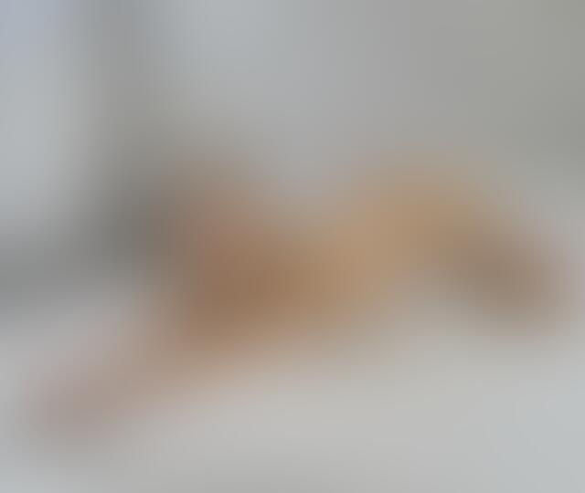 Cover photo of nattienatts