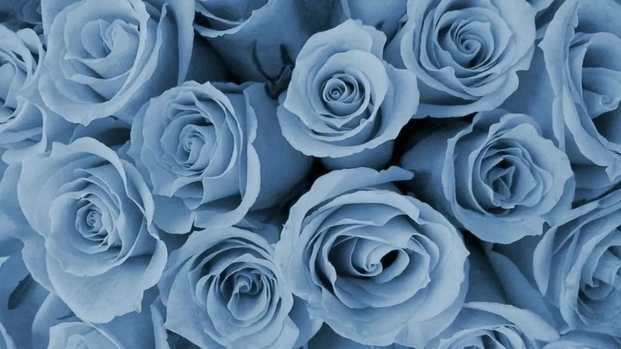 Cover photo of tinkerbell69