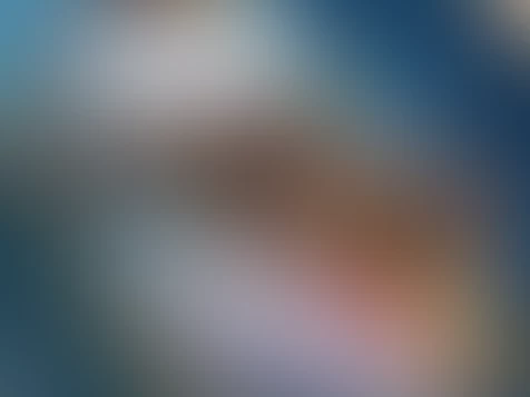 Cover photo of vanessamariehay